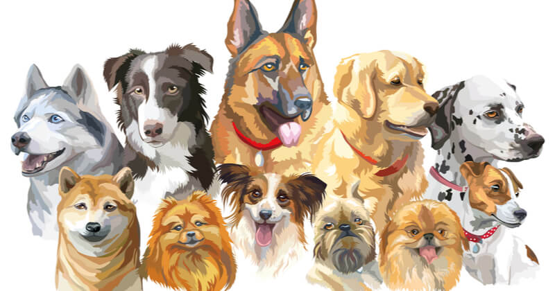 ペット 似顔絵 リアル