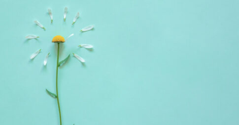 イニシャルは?私を好きな人の特徴5選【当たるタロット占いも】